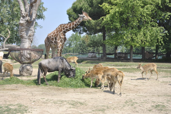 parco-natura-viva-5